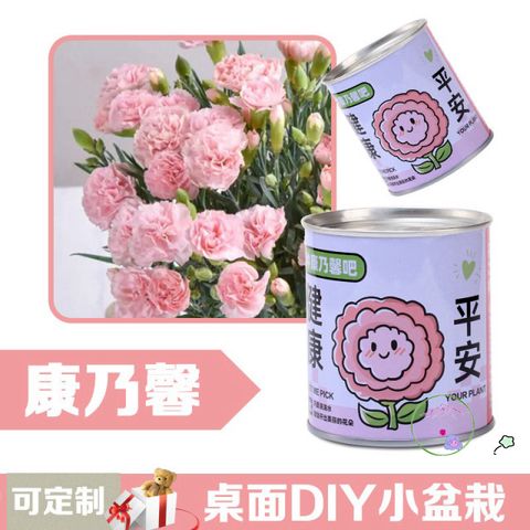 Bộ trồng cây mini tự động nảy mầm - Hạt giống hoa và trái cây cho bé, học STEM, chăm sóc cây tại nhà
