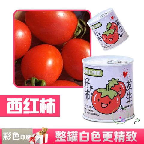 Bộ trồng cây mini tự động nảy mầm - Hạt giống hoa và trái cây cho bé, học STEM, chăm sóc cây tại nhà