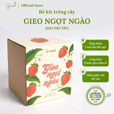 Bộ Sản Phẩm Gieo Hạt Ô-Seed Dâu Tây - Khởi Nguồn Kỳ Diệu Cho Vườn Hoa Ngọt Ngào Của Bạn!