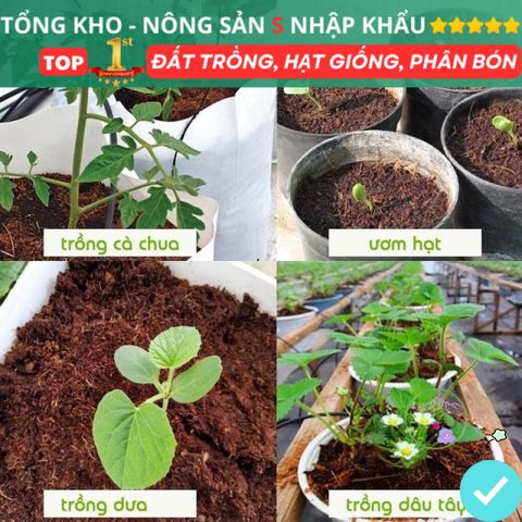 Bộ 5 Viên Nén Xơ Dừa Trồng Cây Hữu Cơ + Tặng Hạt Giống F1 - Giải Pháp Tiện Lợi Cho Rau Hoa, Cây Ăn Quả, Dinh Dưỡng Tự Nhiên
