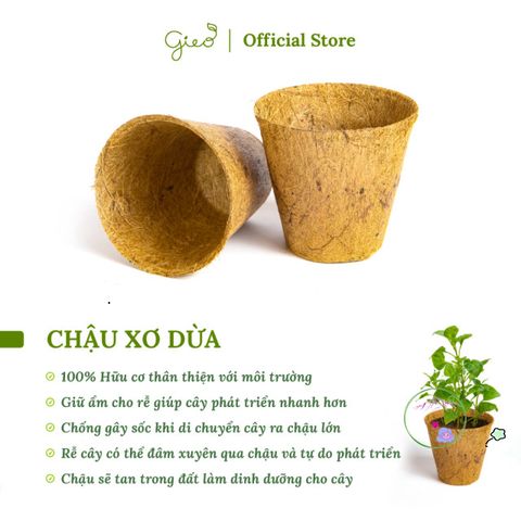 Bộ Trồng Cây Mini Ô-Seed - Khám Phá May Mắn với 3 Loại Hạt Giống Hỗn Hợp - Quà Tặng Độc Đáo Cho Những Tâm Hồn Yêu Thích Thiên Nhiên