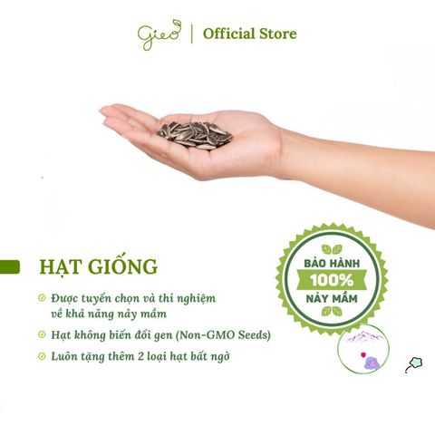 Bộ Trồng Cây Mini Ô-Seed - Khám Phá May Mắn với 3 Loại Hạt Giống Hỗn Hợp - Quà Tặng Độc Đáo Cho Những Tâm Hồn Yêu Thích Thiên Nhiên