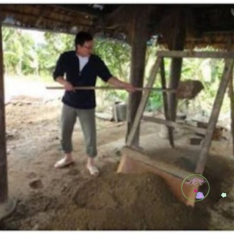 Đất ươm hạt sen đá hữu cơ 1Kg - Hỗn hợp phù sa và cát chuẩn, tăng tỷ lệ sống cho cây giống khỏe mạnh