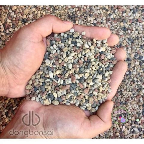 Giá Thể Trồng Cây Bonsai Promix 14L - Hỗn Hợp Chuyên Nghiệp Giữ Ẩm và Dinh Dưỡng Cho Cây Cảnh