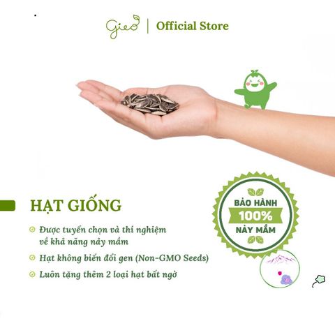 Bộ Dụng Cụ Trồng Cây Ô-Seed - Khởi Đầu Sáng Tạo với Hạt Hoa Đậu Biếc, Chậu Xơ Dừa và Hướng Dẫn Gieo Hạt