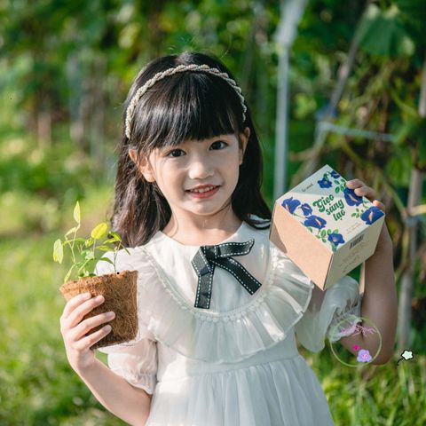 Bộ Dụng Cụ Trồng Cây Ô-Seed - Khởi Đầu Sáng Tạo với Hạt Hoa Đậu Biếc, Chậu Xơ Dừa và Hướng Dẫn Gieo Hạt