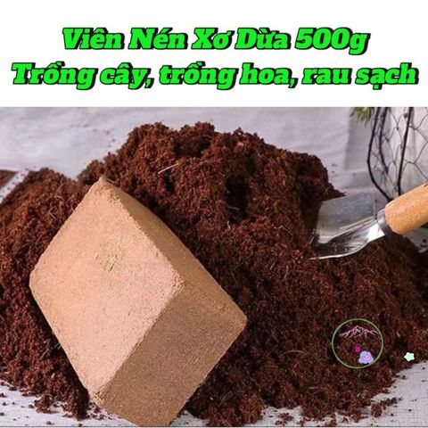 Bộ 5 viên nén xơ dừa hữu cơ cho trồng rau củ quả và cây cảnh - Giải pháp đất trồng an toàn và hiệu quả