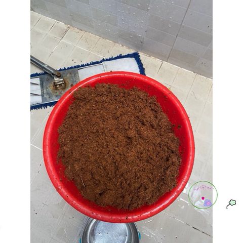 Bộ 5 viên nén xơ dừa hữu cơ cho trồng rau củ quả và cây cảnh - Giải pháp đất trồng an toàn và hiệu quả