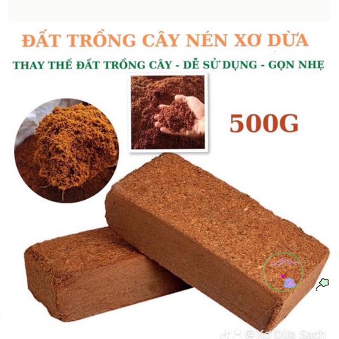 Bộ 5 viên nén xơ dừa hữu cơ cho trồng rau củ quả và cây cảnh - Giải pháp đất trồng an toàn và hiệu quả