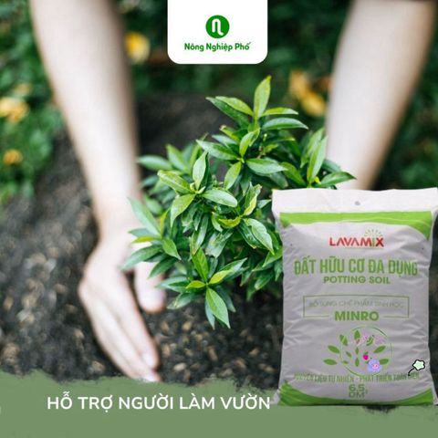 Đất Lavamix Hỗn Hợp Dinh Dưỡng Hữu Cơ Trồng Rau, Hoa, Cây Ăn Trái - Gói 6.5dm3 Chất Lượng Cao, Giữ Ẩm Tốt