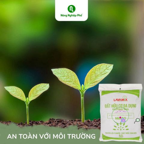 Đất Lavamix Hỗn Hợp Dinh Dưỡng Hữu Cơ Trồng Rau, Hoa, Cây Ăn Trái - Gói 6.5dm3 Chất Lượng Cao, Giữ Ẩm Tốt