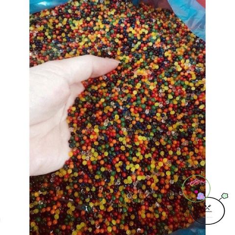 Bộ 24 Gói Hạt Nở Trang Trí Chậu Cây - Màu Sắc Tươi Sáng Cho Không Gian Sống Thêm Sinh Động