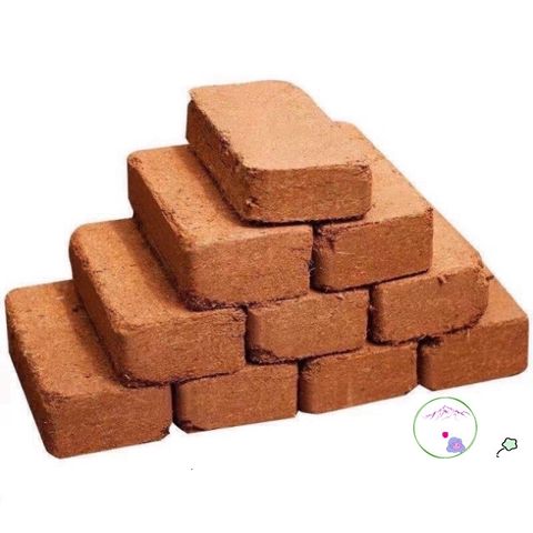 Viên Đất Nén Xơ Dừa Hữu Cơ 600g - Giá Thể Trồng Cây An Toàn, Dinh Dưỡng Tự Nhiên, Thích Hợp Trồng Rau Mầm, Cây Cảnh