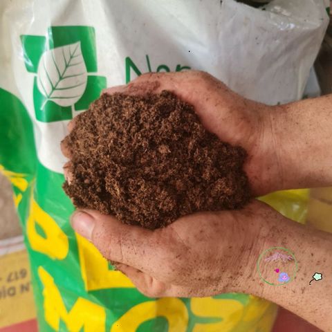 Gói 2kg Rêu Than Bùn Peat Moss Nhập Khẩu - Giá Thể Cao Cấp Cho ươm Hạt, Trồng Cây, Giâm Cành, Cải Thiện Đất
