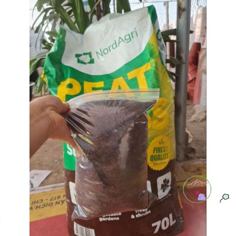 Gói 2kg Rêu Than Bùn Peat Moss Nhập Khẩu - Giá Thể Cao Cấp Cho ươm Hạt, Trồng Cây, Giâm Cành, Cải Thiện Đất