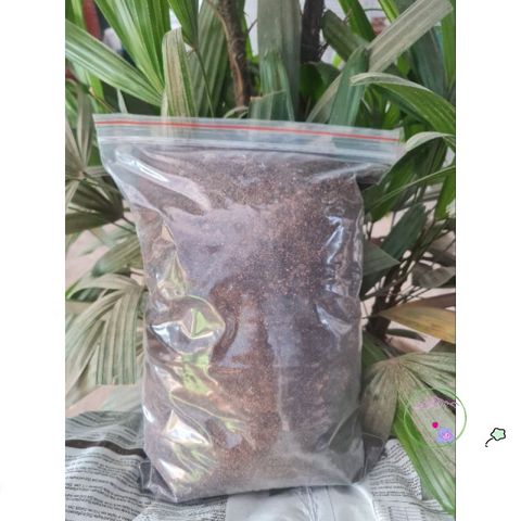 Gói 2kg Rêu Than Bùn Peat Moss Nhập Khẩu - Giá Thể Cao Cấp Cho ươm Hạt, Trồng Cây, Giâm Cành, Cải Thiện Đất
