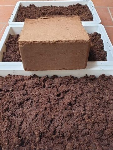 Bộ 20 Viên Phân Đất Trồng Cây Hữu Cơ Từ Xơ Dừa - Phân Bón Tiện Lợi Cho Rau Mầm, Cây Kiểng, An Toàn