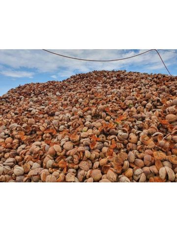 Bộ 20 Viên Phân Đất Trồng Cây Hữu Cơ Từ Xơ Dừa - Phân Bón Tiện Lợi Cho Rau Mầm, Cây Kiểng, An Toàn