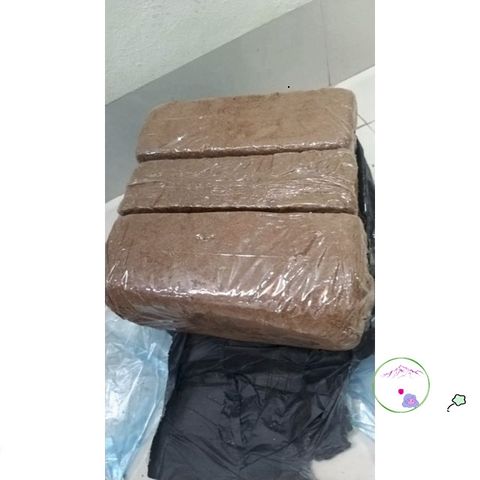 Viên Nén Xơ Dừa Trồng Rau Mầm - Giá Thể Hữu Cơ Tốt Nhất Cho Rau Củ Quả & Hoa Sen Đá - Nông Sản S Chính Hãng