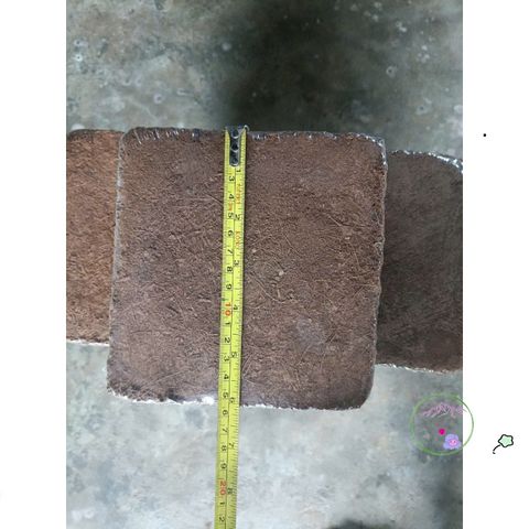 Viên Nén Xơ Dừa Trồng Rau Mầm - Giá Thể Hữu Cơ Tốt Nhất Cho Rau Củ Quả & Hoa Sen Đá - Nông Sản S Chính Hãng