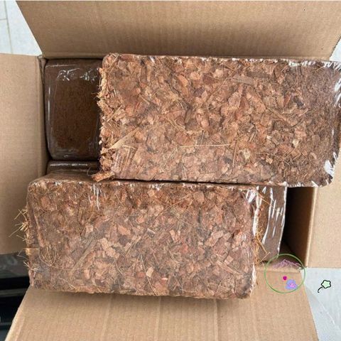 Bộ 10 viên nén xơ dừa băm 500G - Giá thể trồng lan, cây kiểng và cảnh quan lý tưởng cho mọi loại cây