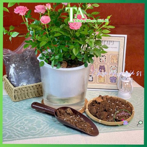 Túi 1KG Hỗn hợp Đất Trồng Hoa Phù Hợp Mọi Loại Cây, Dinh Dưỡng Giàu Có Cho Cây Monstera, Caladium, Pothos