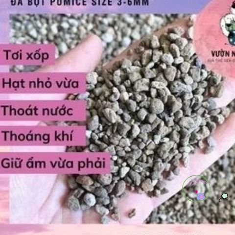 500gr Đá Bọt Núi Lửa Pumice (3-6mm) - Giải Pháp Xuất Sắc Cho Sen Đá, Xương Rồng và Cây Kiểng