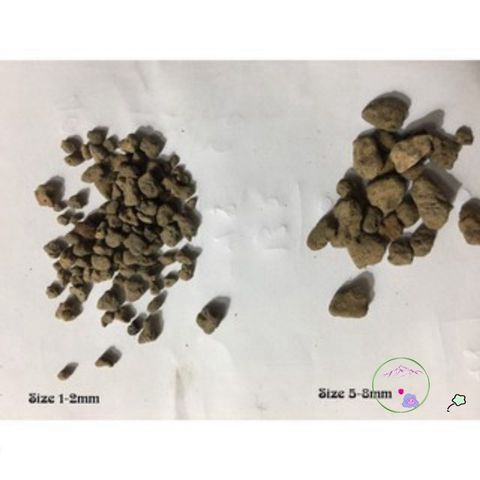 500gr Đá Bọt Núi Lửa Pumice (3-6mm) - Giải Pháp Xuất Sắc Cho Sen Đá, Xương Rồng và Cây Kiểng