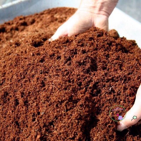 Viên Nén Xơ Dừa 450-500g Tốt Nhất Cho Trồng Hoa và Cây Cảnh - 100% Hữu Cơ, Dinh Dưỡng Cao, Thay Thế Đất Trồng An Toàn