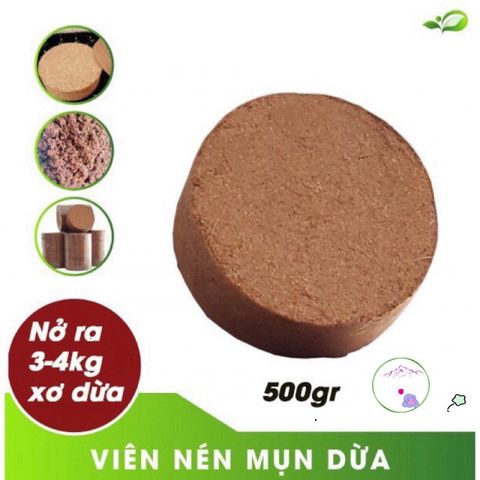 Viên Nén Xơ Dừa 450-500g Tốt Nhất Cho Trồng Hoa và Cây Cảnh - 100% Hữu Cơ, Dinh Dưỡng Cao, Thay Thế Đất Trồng An Toàn