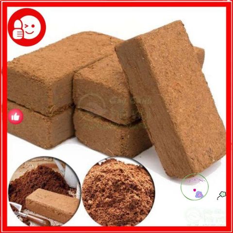 Mùn Dừa & Xơ Dừa 1kg - Vật Liệu Trồng Rau và Sen Đá Tốt Nhất - Giúp Cải Thiện Đất và Kỹ Thuật Trồng Cây