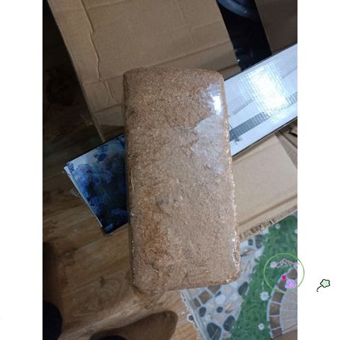 Mùn Dừa & Xơ Dừa 1kg - Vật Liệu Trồng Rau và Sen Đá Tốt Nhất - Giúp Cải Thiện Đất và Kỹ Thuật Trồng Cây