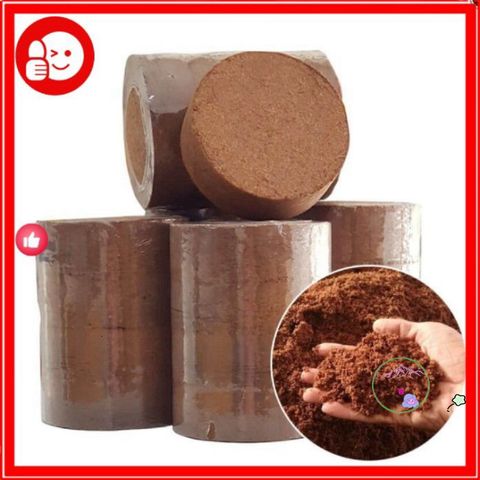 Mùn Dừa & Xơ Dừa 1kg - Vật Liệu Trồng Rau và Sen Đá Tốt Nhất - Giúp Cải Thiện Đất và Kỹ Thuật Trồng Cây