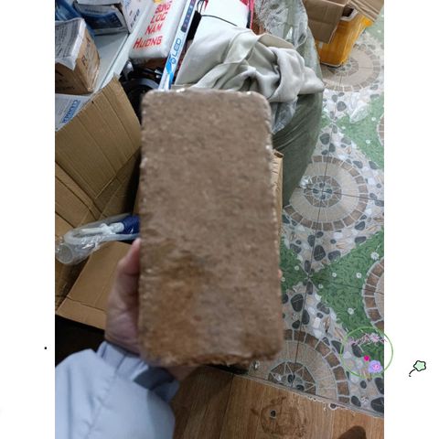 Mùn Dừa & Xơ Dừa 1kg - Vật Liệu Trồng Rau và Sen Đá Tốt Nhất - Giúp Cải Thiện Đất và Kỹ Thuật Trồng Cây