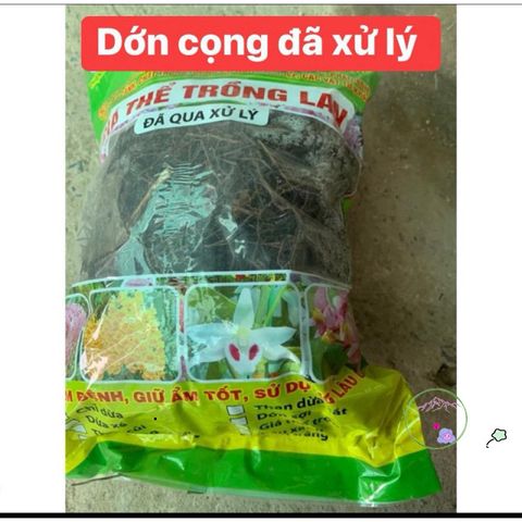 Dớn Cọng Trồng Lan Chuyên Dụng - Giá Thể Xử Lý 5dm3, Giúp Cây Phát Triển Tốt, Giữ Ẩm Cao, Thoáng Rễ, An Toàn Cho Cây Lan