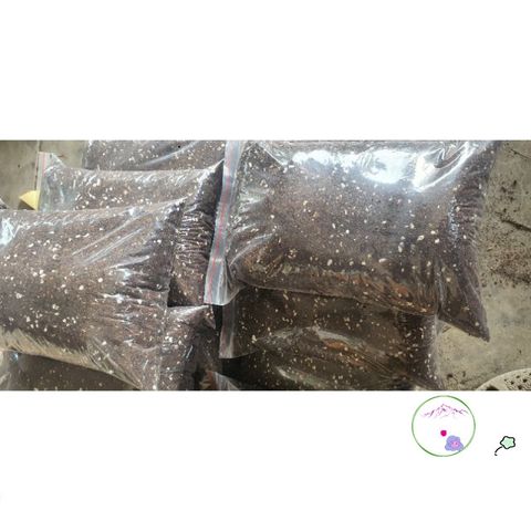 Hỗn hợp Dinh Dưỡng Gieo Trồng Cây 1kg - Sơ Dừa, Trùn Quế, Trấu Hun, Peat Moss, Đá Chân Châu, Phân Supersoil 552596