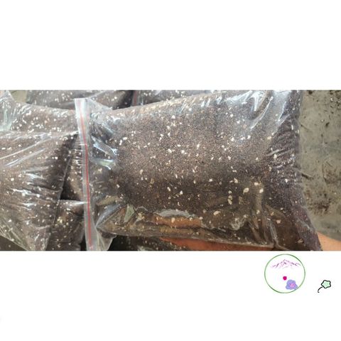 Hỗn hợp Dinh Dưỡng Gieo Trồng Cây 1kg - Sơ Dừa, Trùn Quế, Trấu Hun, Peat Moss, Đá Chân Châu, Phân Supersoil 552596