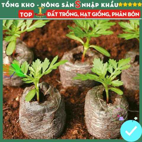 Viên Nén Xơ Dừa Ươm Hạt Giống - Dinh Dưỡng Tối Ưu Cho Mọi Loại Cây, Kích Thích Nảy Mầm Tại Nhà  gị!