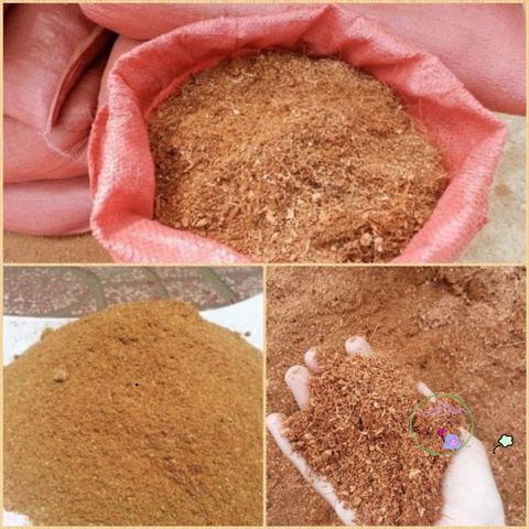 Gói 3kg Mùn Dừa Bến Tre Xử Lý - Giá Thể Tự Nhiên Hoàn Hảo Cho Rau, Hoa Cây Cảnh Giúp Giữ Ẩm và Cung Cấp Dinh Dưỡng