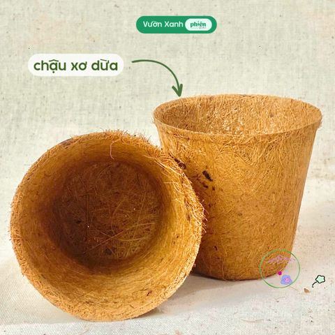 Bộ Kit Ươm Mầm Hạnh Phúc Mini - Quà Tặng Ý Nghĩa Cho Người Yêu Thiên Nhiên - Bao Gồm Hạt Giống, Chậu Giấy và Hướng Dẫn Trồng Cây