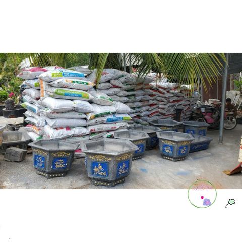 Bao Giá Thể Trồng Cây 25kg - Mùn Dừa, Trấu Hun & Vỏ Đậu Chất Lượng Cao, Đất Trồng Rau Hữu Cơ, Phụ Kiện Làm Vườn
