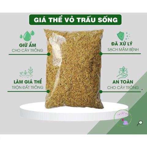 Giá Thể Vỏ Trấu Tự Nhiên - Giải Pháp Hoàn Hảo Để Trộn Đất Trồng Hoa Hồng và Rau Sạch, Giữ Ẩm và Cung Cấp Khoáng Chất Hữu Ích