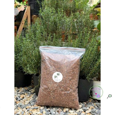 Giá Thể Trộn Sẵn Cho Cây - Hỗn Hợp Đất Tốt Nhất Cho Cây Trong Nhà & Ngoài Trời, Đá Perlite & Phân Trùn Quế, 1kg-2kg