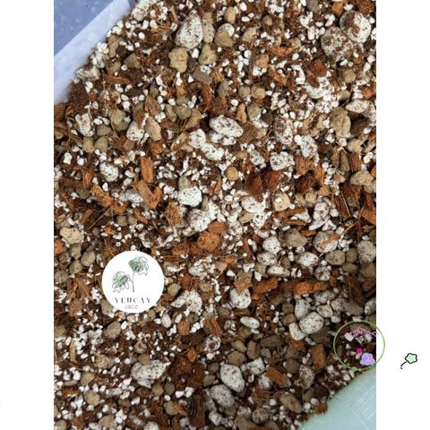Giá Thể Trộn Sẵn Cho Cây - Hỗn Hợp Đất Tốt Nhất Cho Cây Trong Nhà & Ngoài Trời, Đá Perlite & Phân Trùn Quế, 1kg-2kg