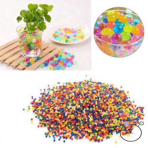 Bộ 24 Gói Hạt Trang Trí Độc Đáo Cho Chậu Cây - Hạt Tinh Thể Hấp Dẫn Cho Không Gian Sống Thêm Phong Phú