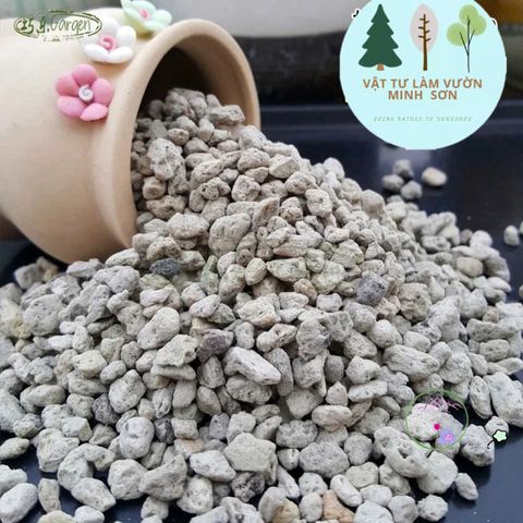 Đá Bọt Pumice 1kg - Giá Thể Trồng Lan, Sen Đá Và Hệ Thống Lọc Nước - Vật Liệu Sinh Thái Từ Indonesia