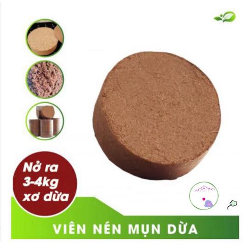 Viên nén giá thể hữu cơ từ mụn dừa lớn - Giải pháp trồng rau củ, hoa cảnh sạch và an toàn cho cây trồng, dễ sử dụng và tái sử dụng