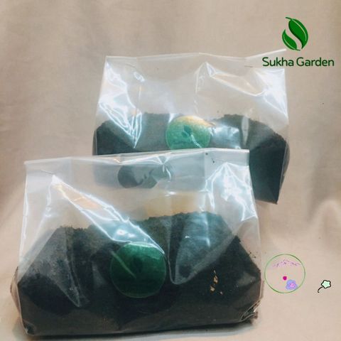 Đất Trồng Cây Dinh Dưỡng Tribat 500g - Giải Pháp Tối Ưu Cho Cây Mini, Rau Củ Sạch Tại Nhà, Kháng Khuẩn