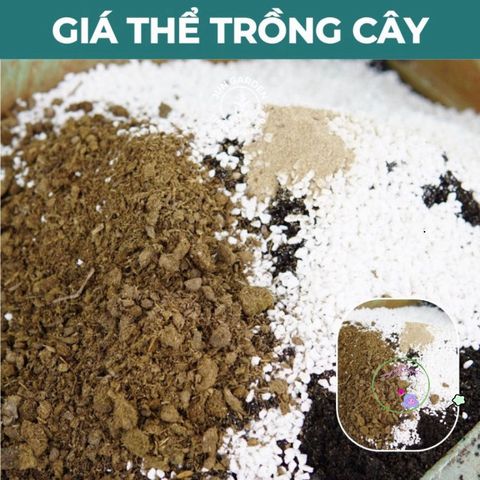 Giá Thể Trồng Cây Hương Thảo JUN GARDEN 3kg - Chất Liệu Đặc Biệt Giúp Cây Phát Triển Khỏe Mạnh, Giải Pháp Hoàn Hảo Cho Người Yêu Vườn