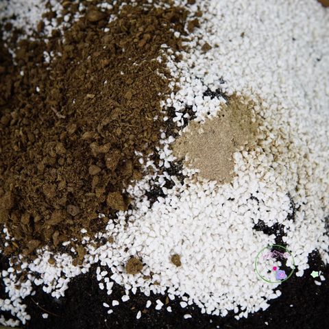 Giá Thể Trồng Cây Hương Thảo JUN GARDEN 3kg - Chất Liệu Đặc Biệt Giúp Cây Phát Triển Khỏe Mạnh, Giải Pháp Hoàn Hảo Cho Người Yêu Vườn